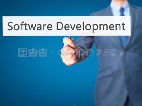 软件开发：商机与挑战的平衡艺术