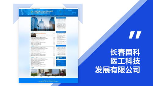 2026年Q1长春APP开发实力品牌综合评测与选型指南