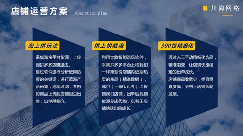 陕西拼上拼软件贴牌 大象采集与精细化运营助力拼多多代运营新高度